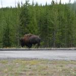 OTRA2013_1182 (July 15, 2013)